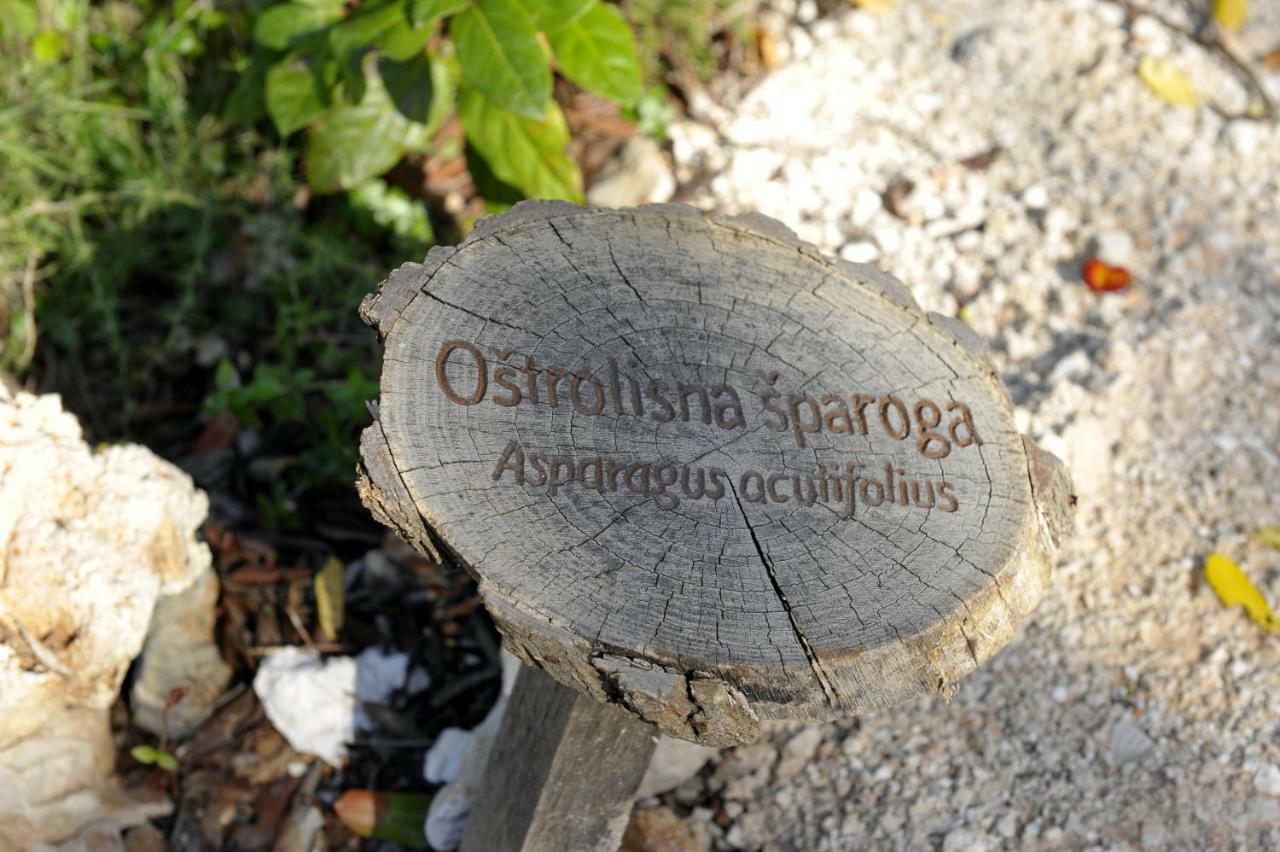 Grandpa Mate House Vila Dragove Exterior foto